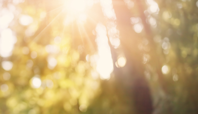 レクリエーション活動